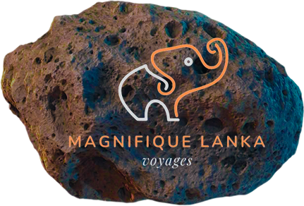 Magnifique Lanka Voyages png